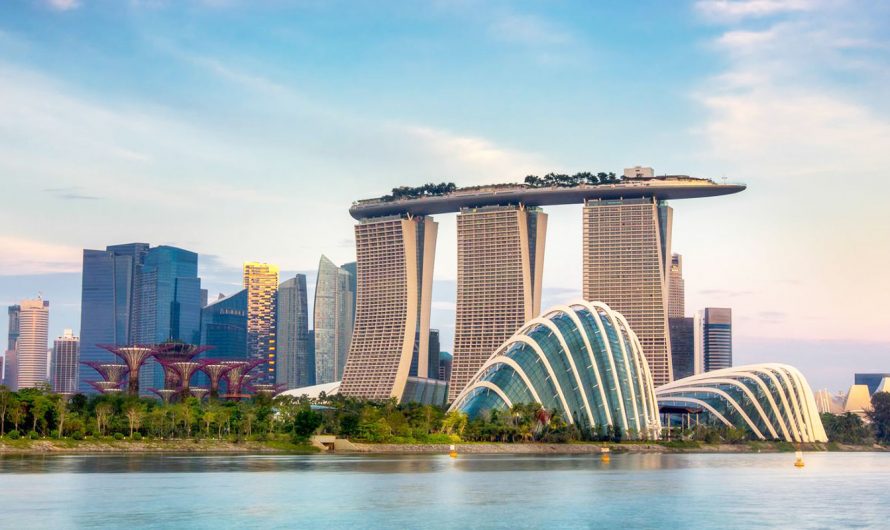 2023 年｜远程新加坡公司注册指南及利弊分析