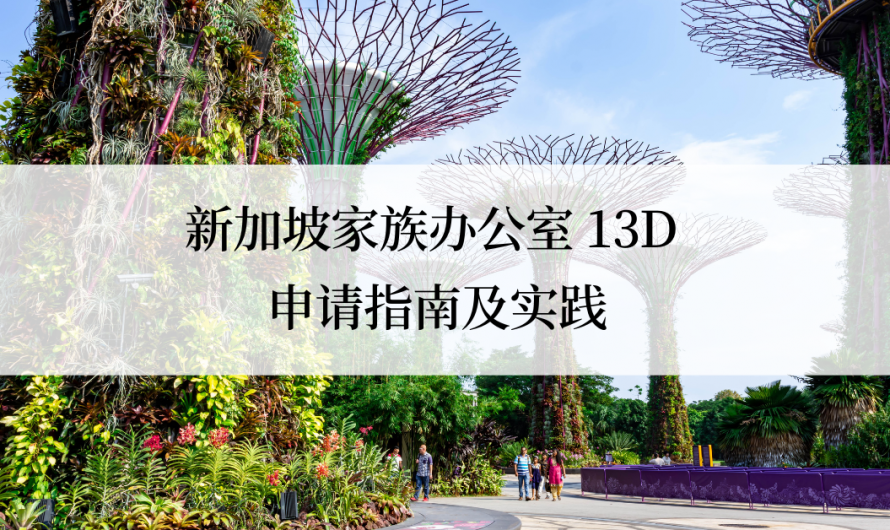 2023 年｜新加坡家族办公室 13D 申请指南及实践